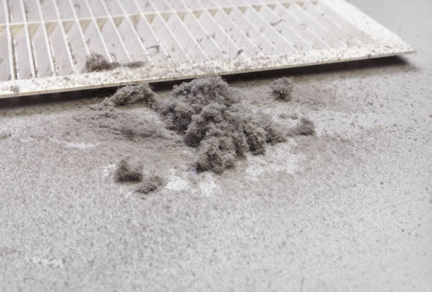 Best Residential Air Duct Cleaning  in Ammon, ID