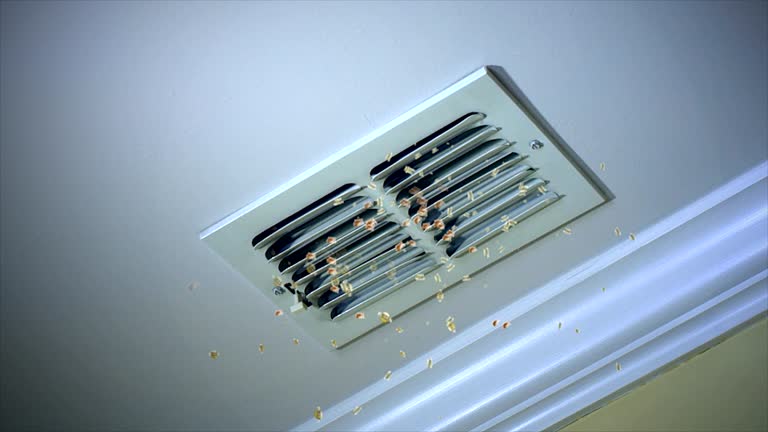Best General Air Duct Cleaning  in Ammon, ID