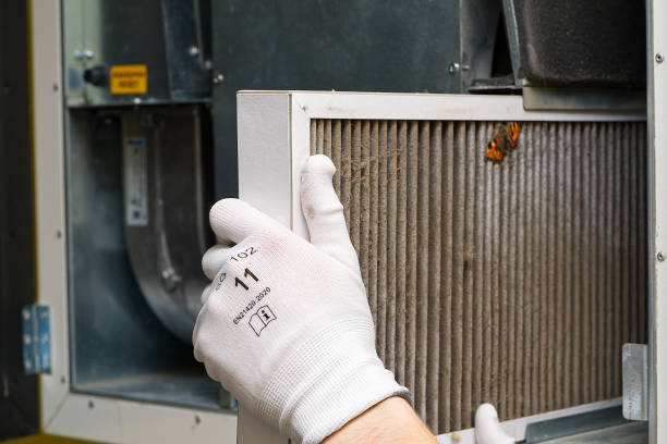 Best Professional Duct Cleaning Services  in Ammon, ID