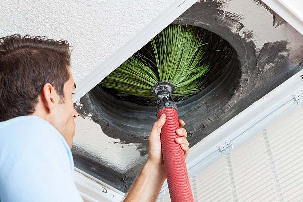 Best Air Duct Cleaning Near Me  in Ammon, ID