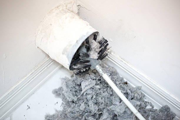 Best HVAC Duct Inspection Services  in Ammon, ID