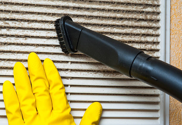 Best Local Air Duct Cleaning Services  in Ammon, ID